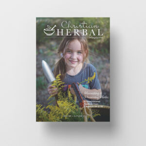 cover-image-autumn-2025 issue